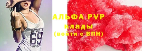 ешки Арсеньев