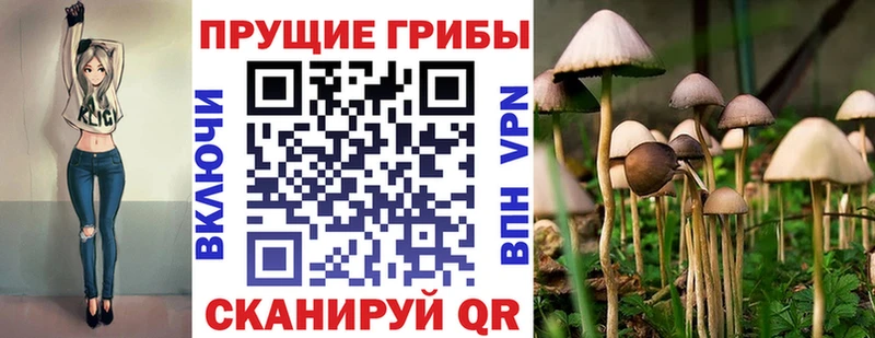 Купить  Светогорск  Псилоцибиновые грибы прущие грибы 